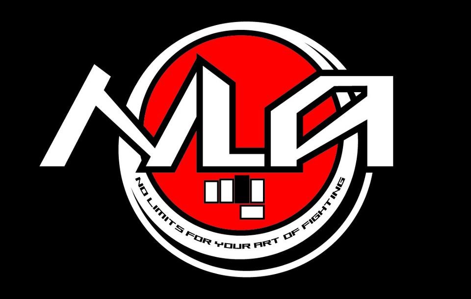 No Limit Academy Logo