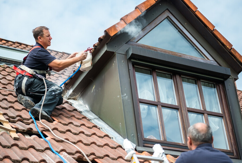 Bilder Bischof Schädlingsbekämpfung GmbH