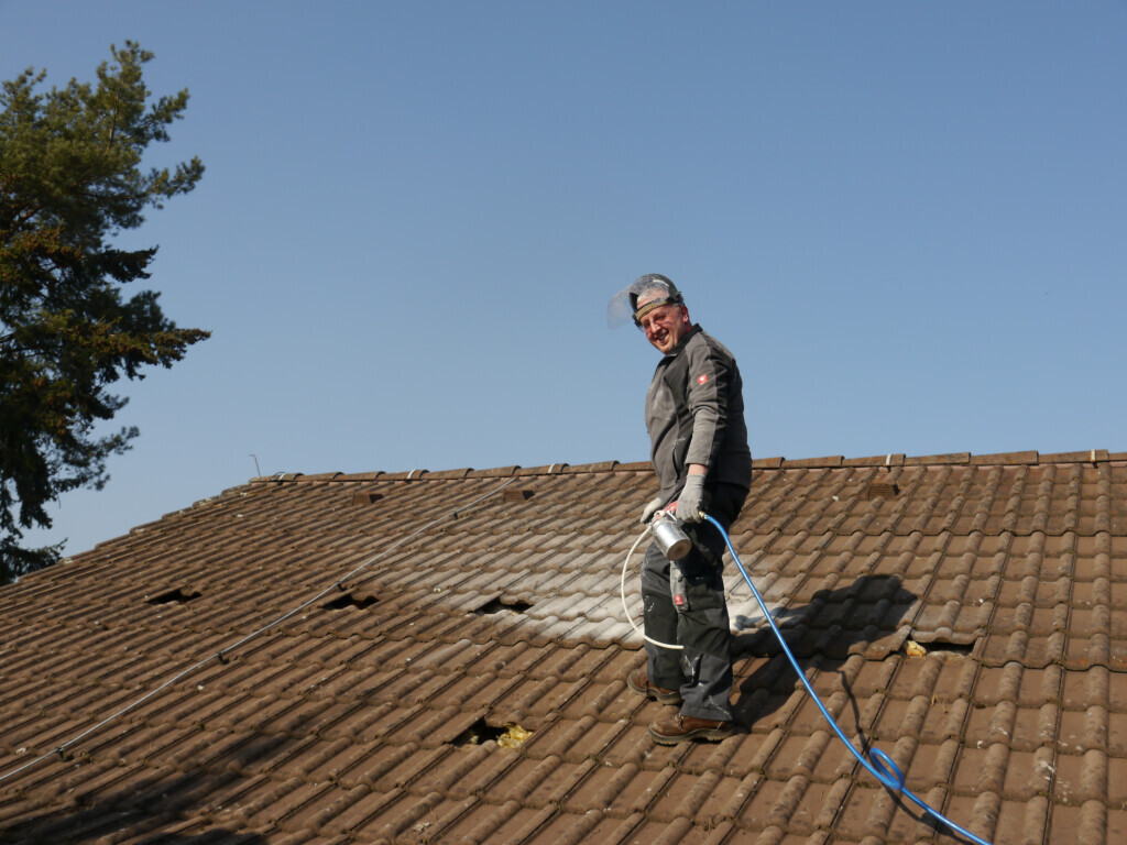 Bilder Bischof Schädlingsbekämpfung GmbH