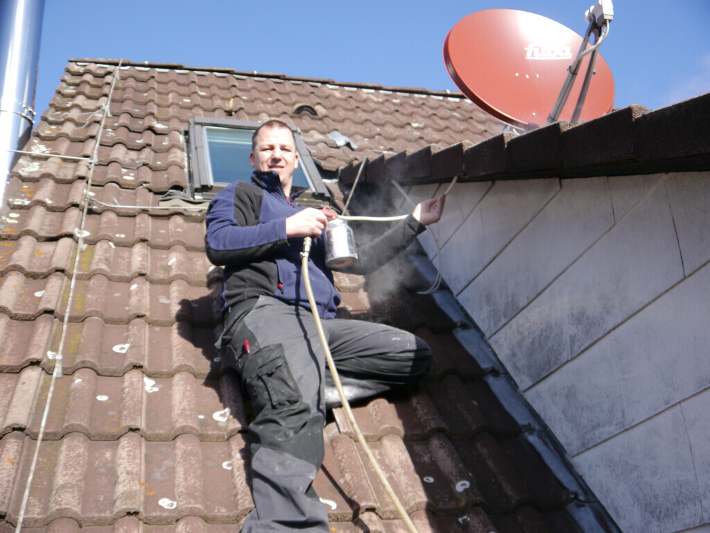 Bilder Bischof Schädlingsbekämpfung GmbH