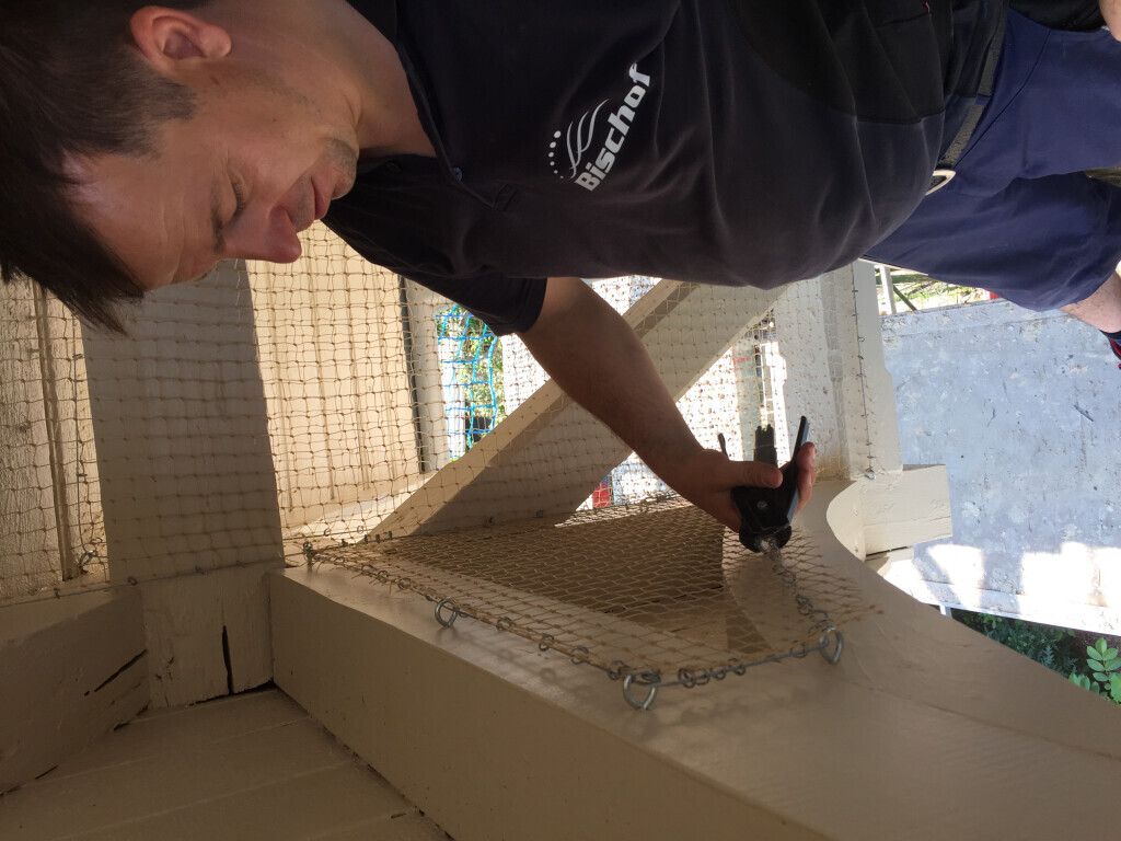 Bilder Bischof Schädlingsbekämpfung GmbH