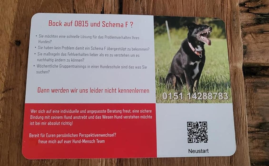 Bilder Glückliche Hundepfoten by Catrin Hendl-viel mehr als nur Hundetraining