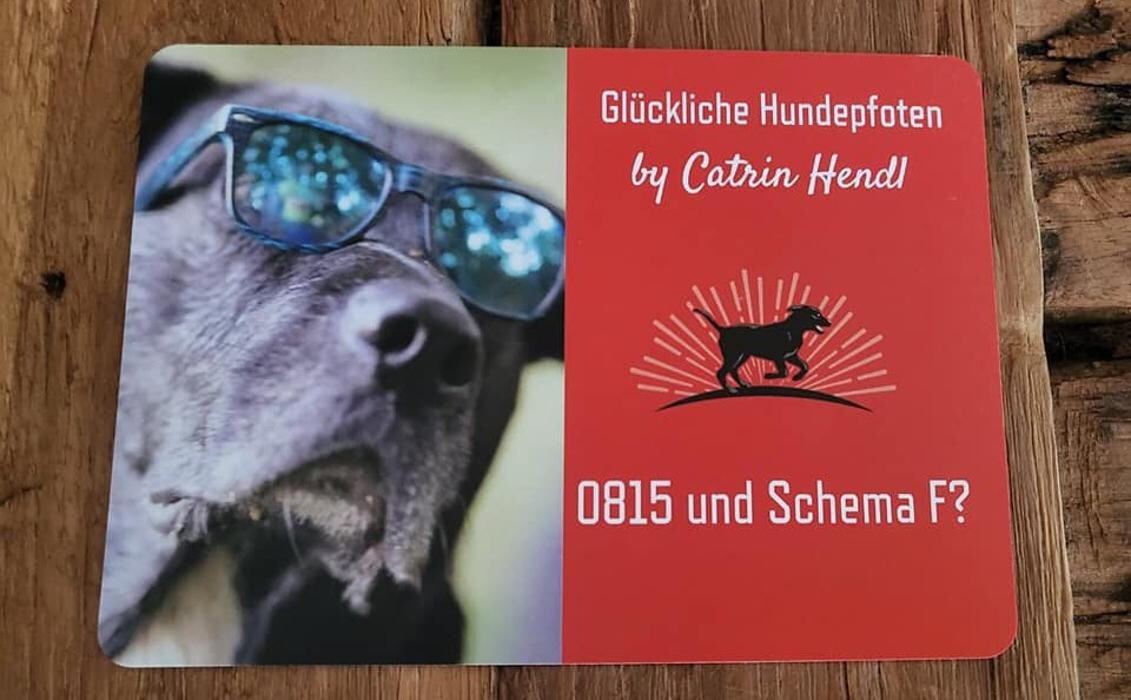 Bilder Glückliche Hundepfoten by Catrin Hendl-viel mehr als nur Hundetraining