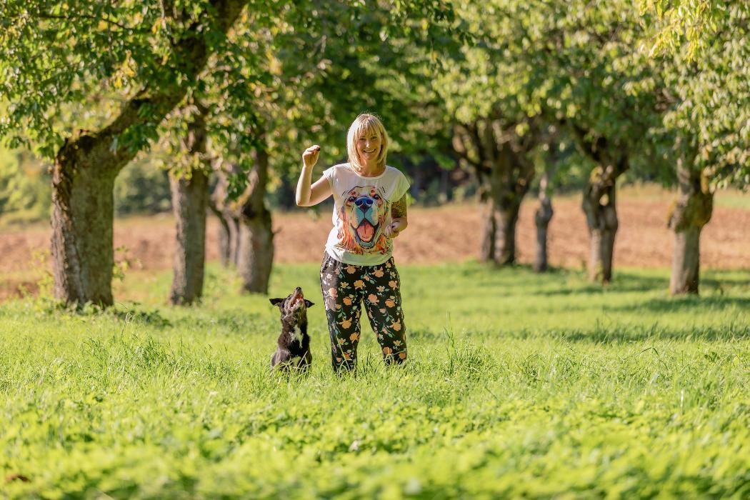 Bilder Glückliche Hundepfoten by Catrin Hendl-viel mehr als nur Hundetraining