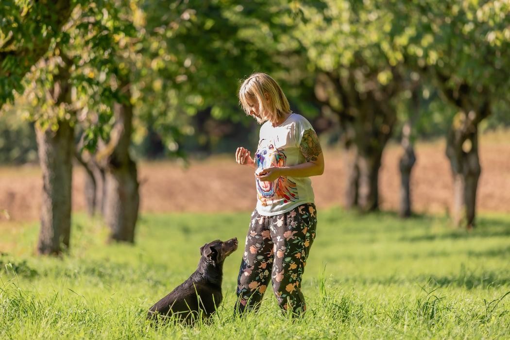 Bilder Glückliche Hundepfoten by Catrin Hendl-viel mehr als nur Hundetraining