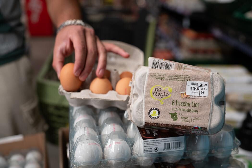 Bilder Netto - Günstig. Besser. Für dich.