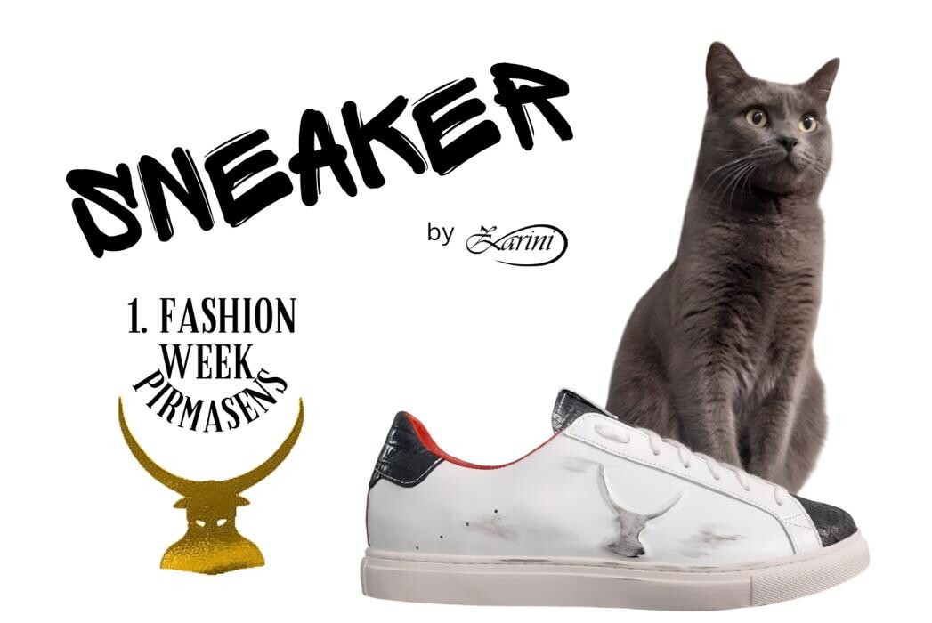 Bilder Zarini deutsche Schuhmanufaktur