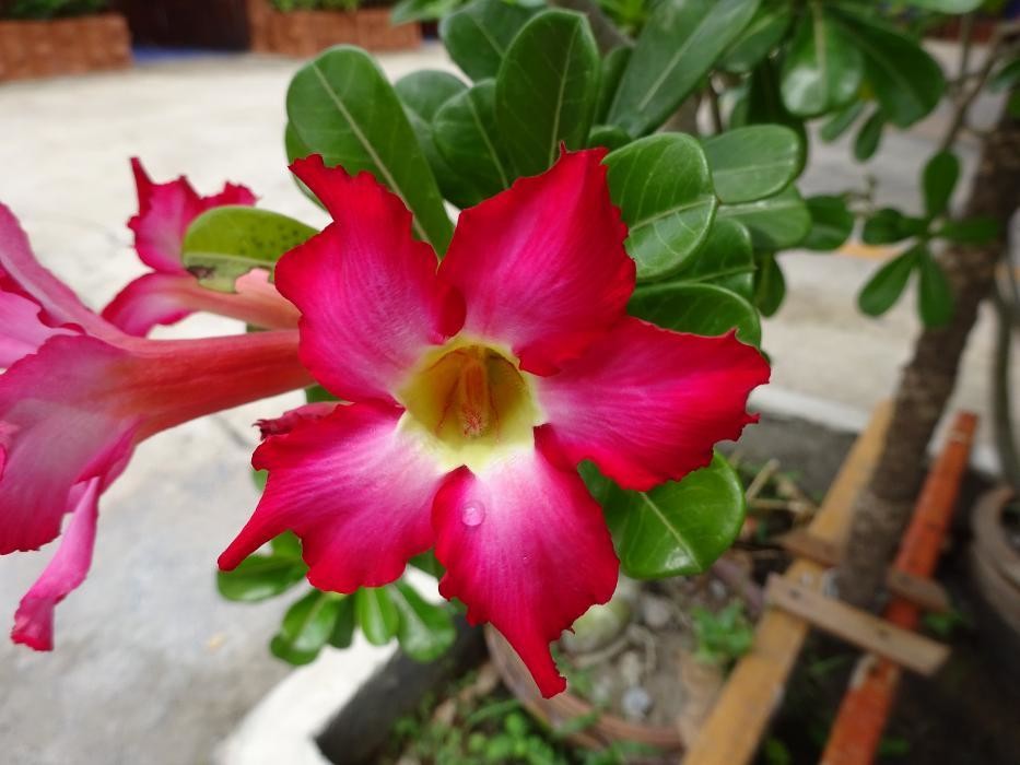 Bilder Kinery Thai Massage