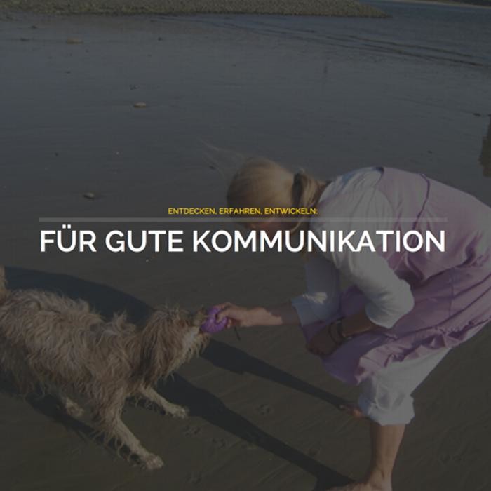 Bilder SILKE DILLMANN - Schmiede für erfolgreiche Führung und Kommunikation