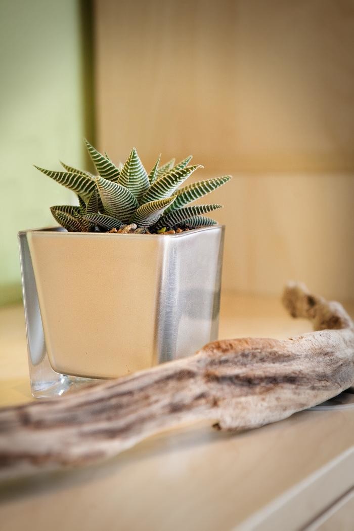 Bilder Naturheilzentrum Altmühltal