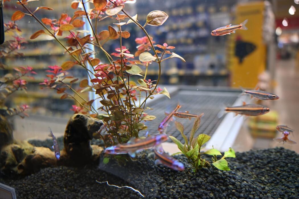 Bilder DAS FUTTERHAUS - Leer