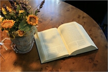 Bilder Rechtsanwalt Frank Rilling