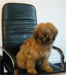 Bilder Rechtsanwalt Frank Rilling