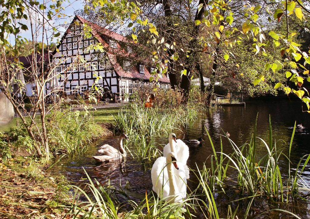 Bilder Springbach-Mühle Belzig OHG