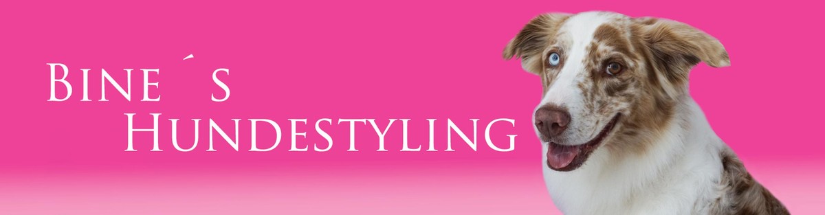 Bine's Hundestyling Logo