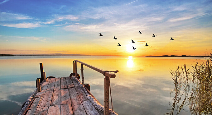 Bilder Praxis für Naturheilkunde und Hypnose in München Irmingard Scherer