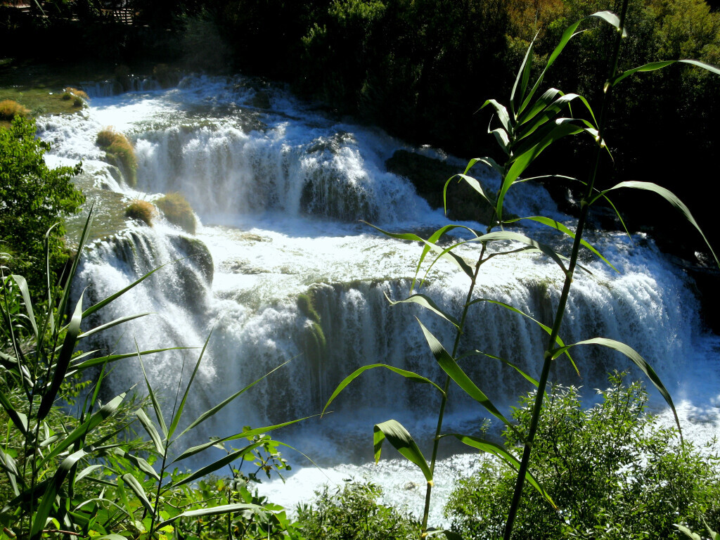 Bilder Gabriele Bremicker Praxis Freiraum