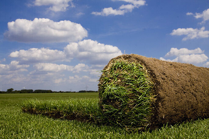 Bilder Fertigrasen-Farm Winkel-KG