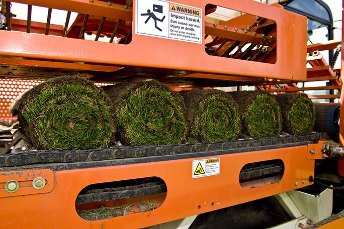 Bilder Fertigrasen-Farm Winkel-KG