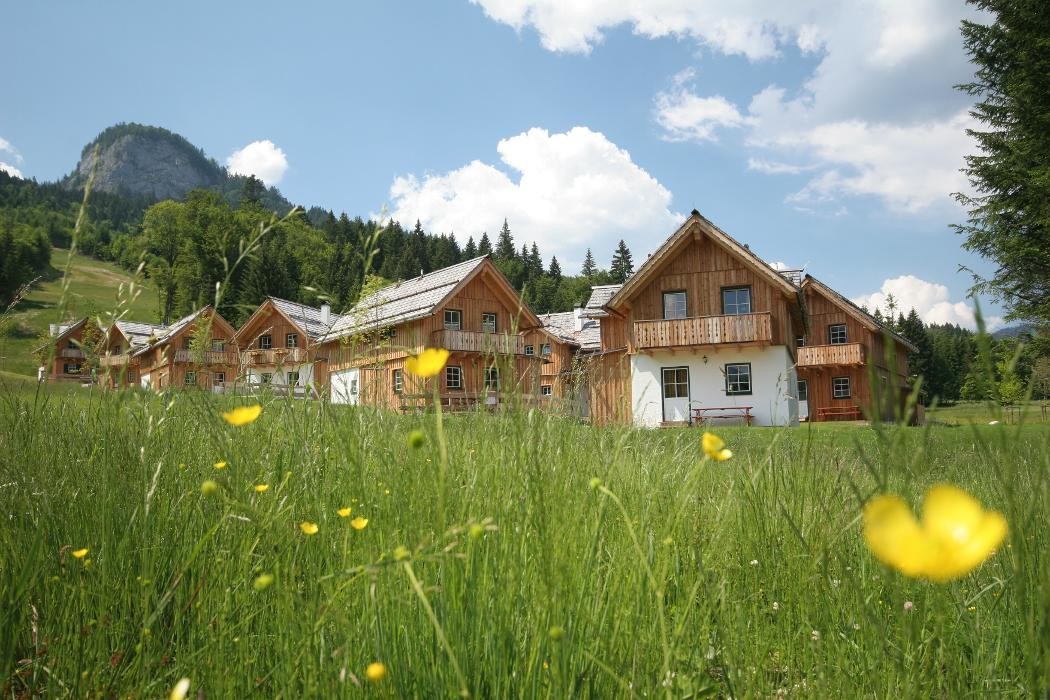 Bilder Alpenimmobilien