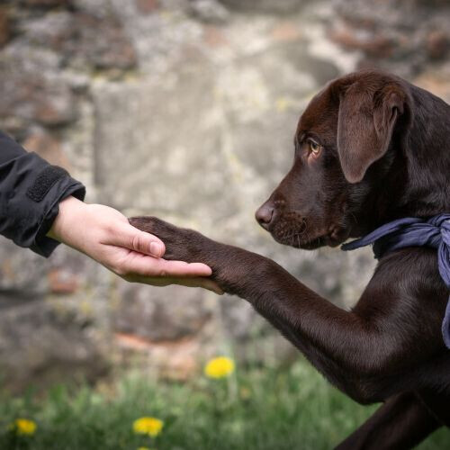 Bilder Anja Sehrt Fotografie