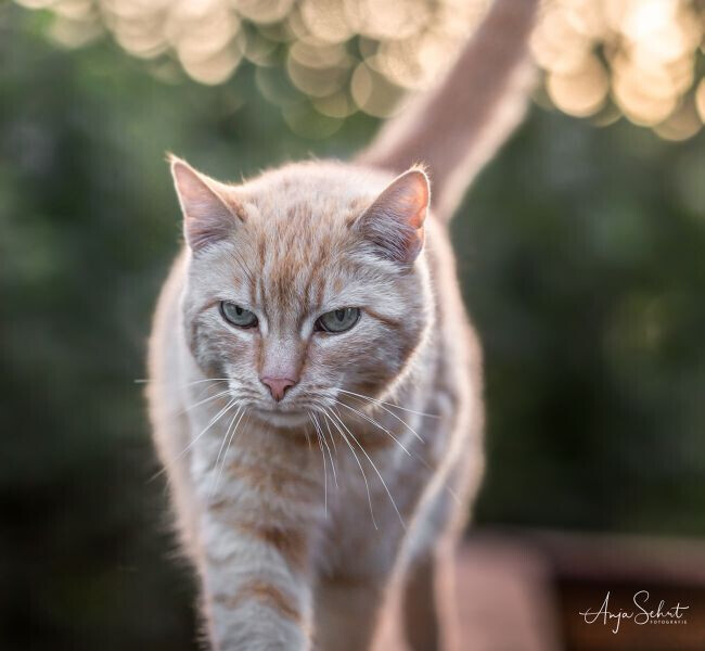 Bilder Anja Sehrt Fotografie