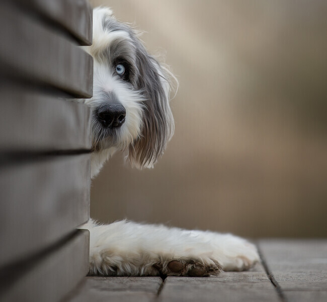 Bilder Anja Sehrt Fotografie