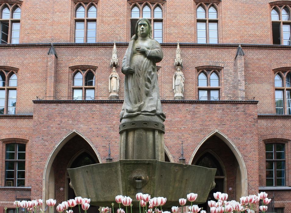 Bilder Alexianer St. Hedwig-Krankenhaus