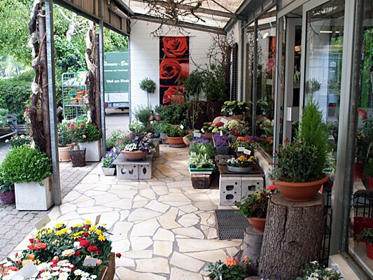 Bilder Blumenhaus & Gärtnerei BACHE