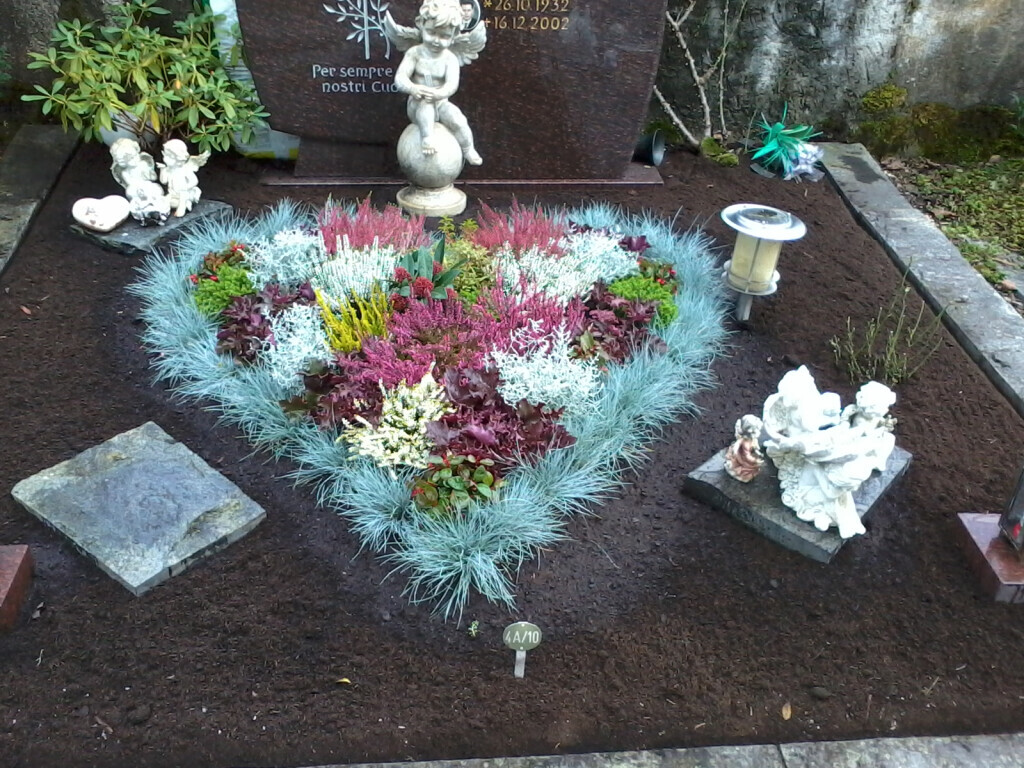 Bilder Blumenhaus & Gärtnerei BACHE