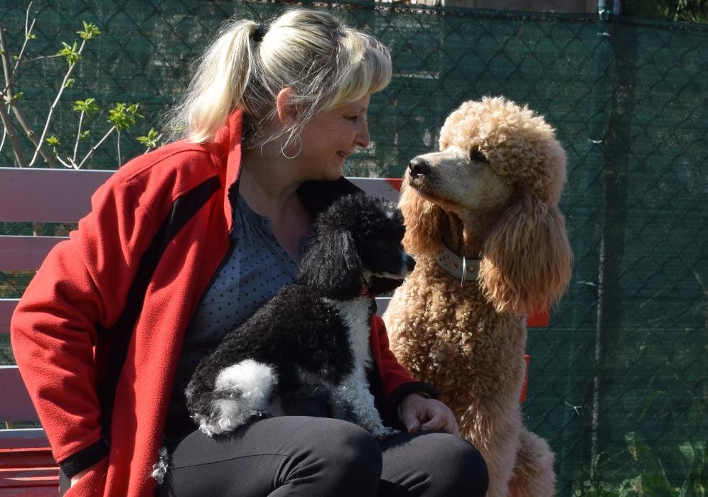 Bilder Hundeschule Simone Blasek