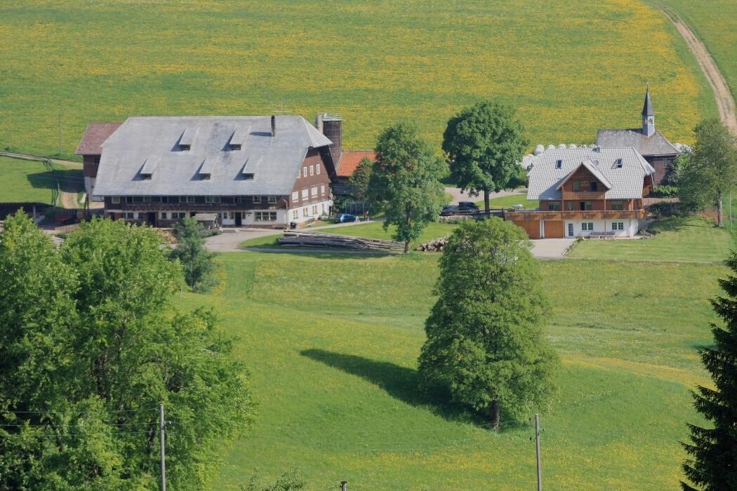 Bilder Bärenhof Schollach