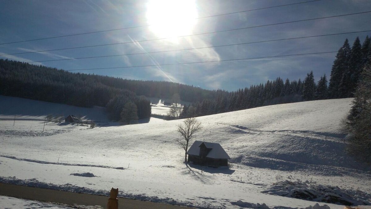 Bilder Bärenhof Schollach