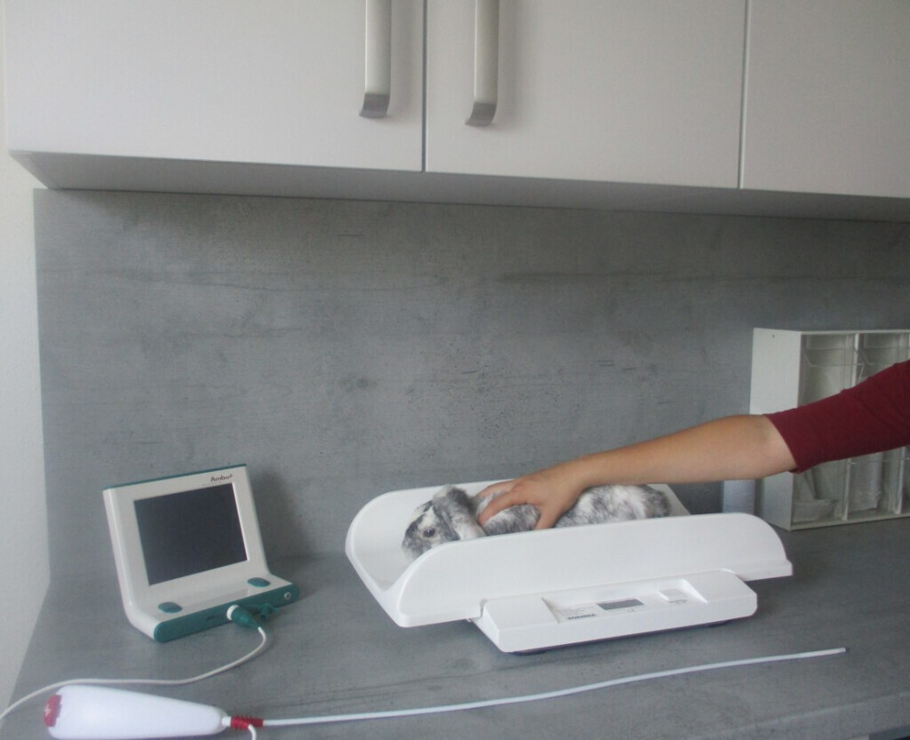 Bilder Tierarztpraxis Sieber