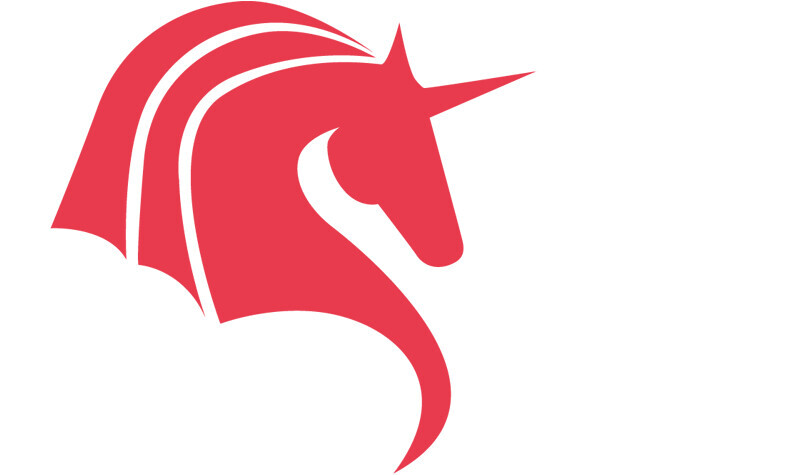 Caikon Consult Sabine Brunner Logo