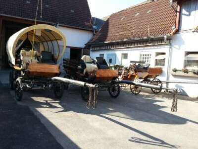 Bilder Claudia Christoph Pferdebetrieb FN - Fahrschule FN**