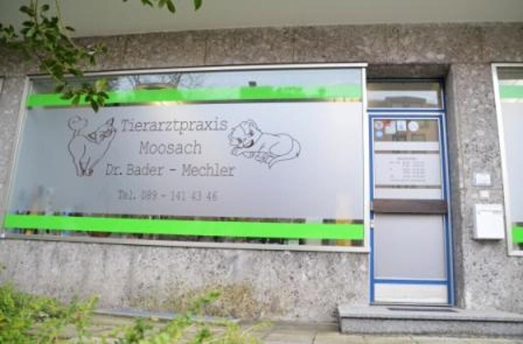 Bilder Tierarztpraxis Moosach Dr. Bader-Mende