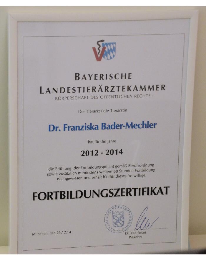 Bilder Tierarztpraxis Moosach Dr. Bader-Mende