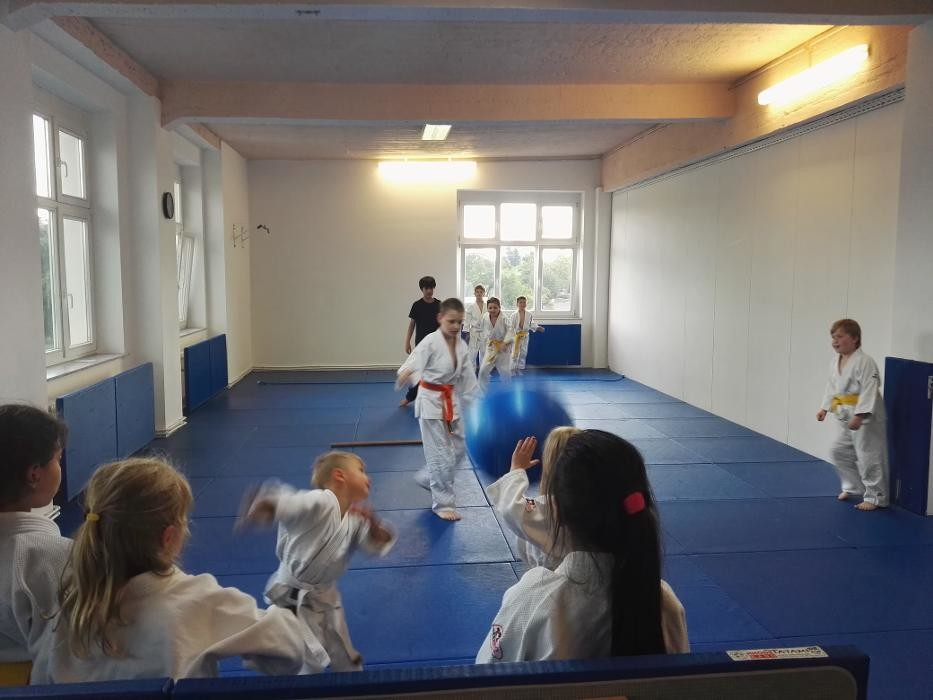 Bilder Aikido-Studio-Dento
