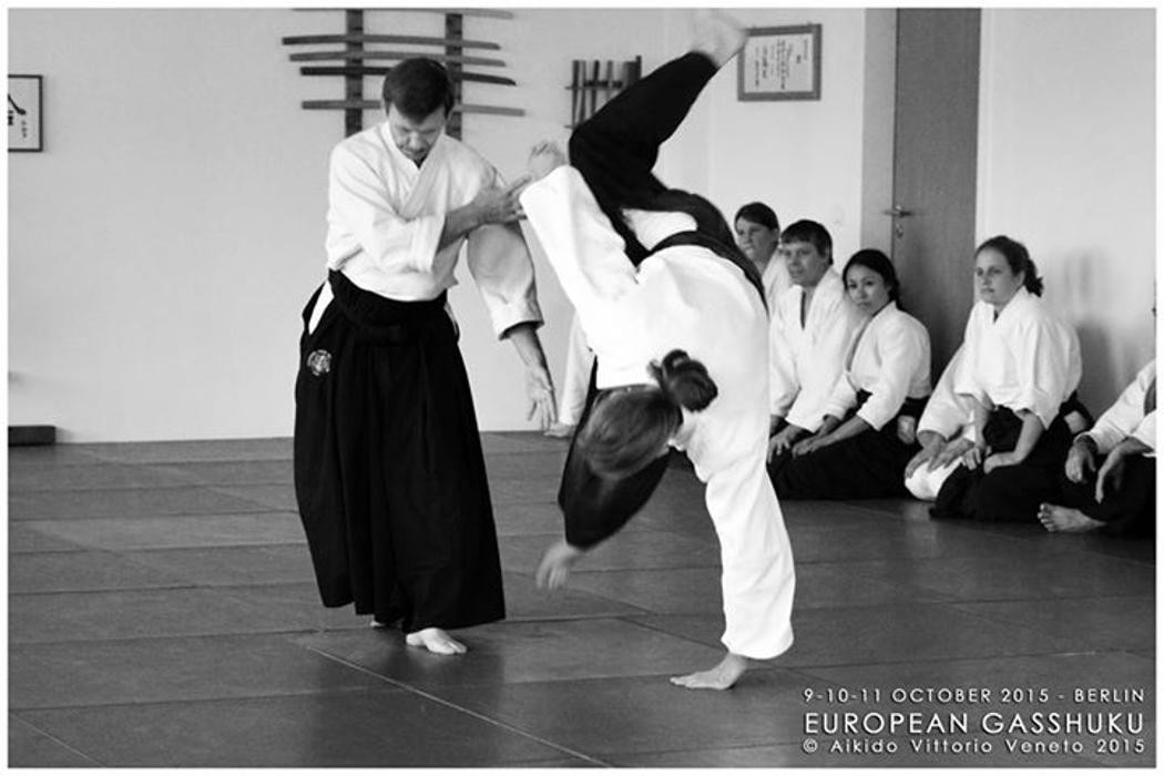 Bilder Aikido-Studio-Dento