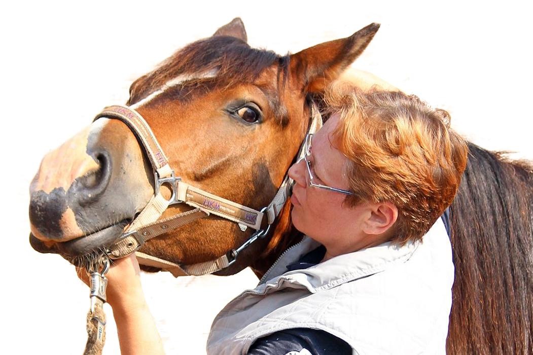 Bilder Tierärztliche Praxis für Pferdeosteopathie Yvonne Oppert