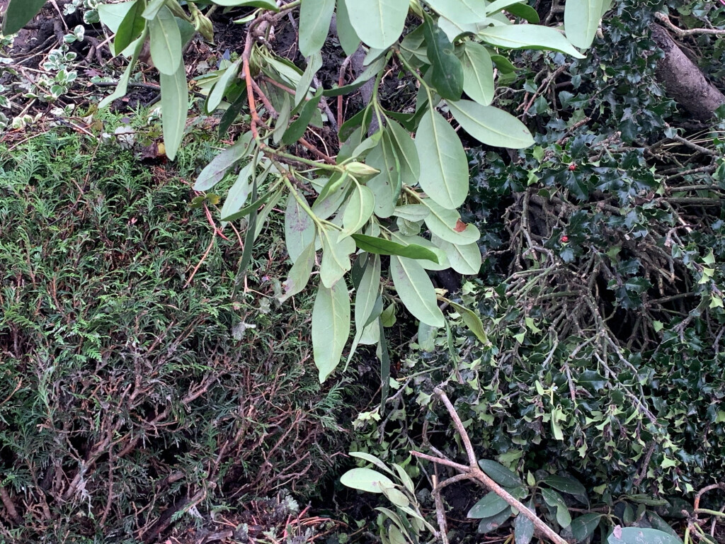 Bilder Nordwest Energie Contracting GmbH