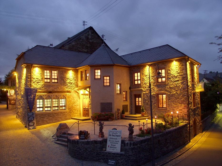 Bilder Alte Burg Longuich