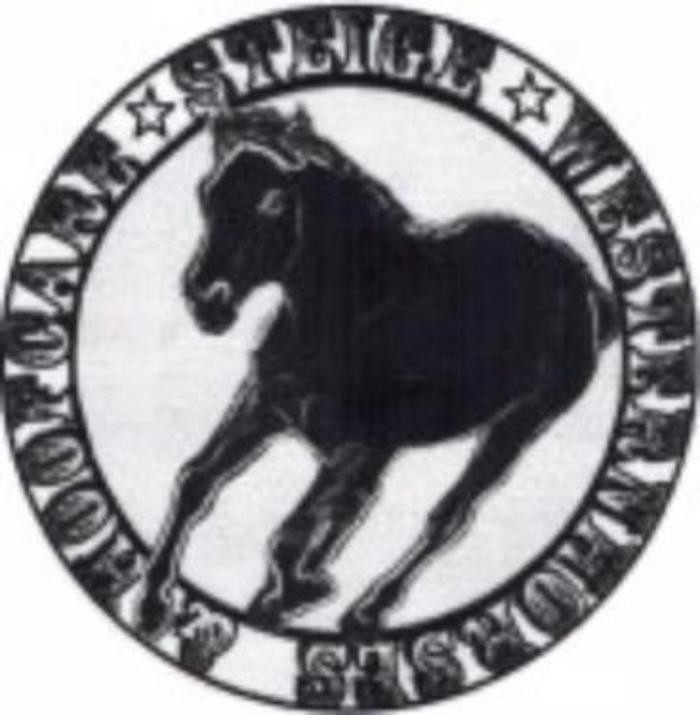 Steige Westernhorses & Hoofcare Logo