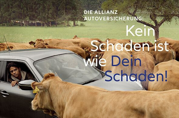 Bilder Allianz Agentur Andreas Eißner