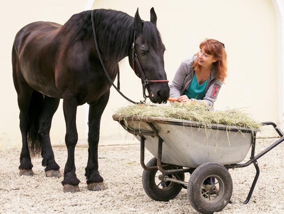 Bilder G & H Tierernährung