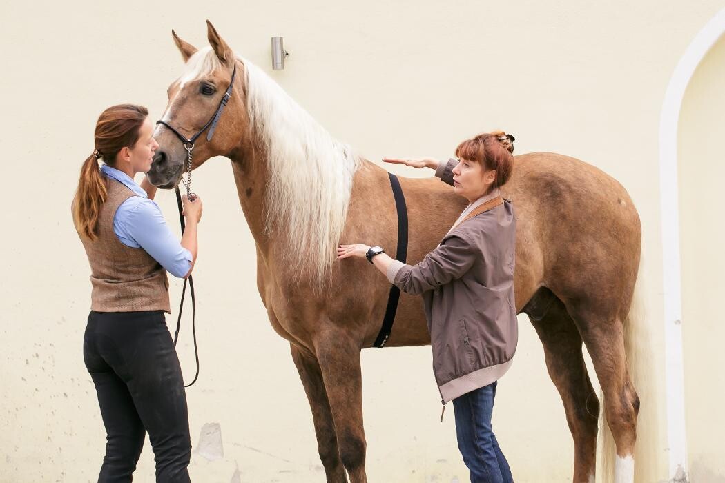 Bilder G & H Tierernährung