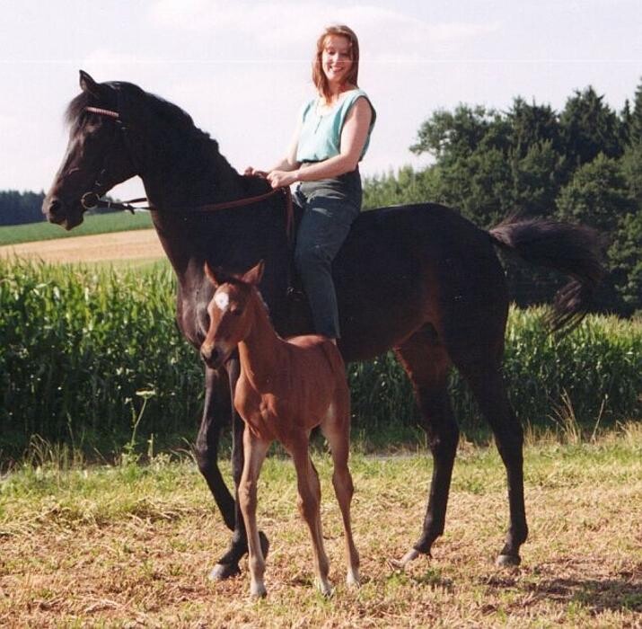 Bilder G & H Tierernährung