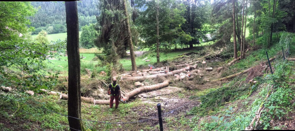 Bilder EntruempelungNRW - zuverlässig. schnell. diskret