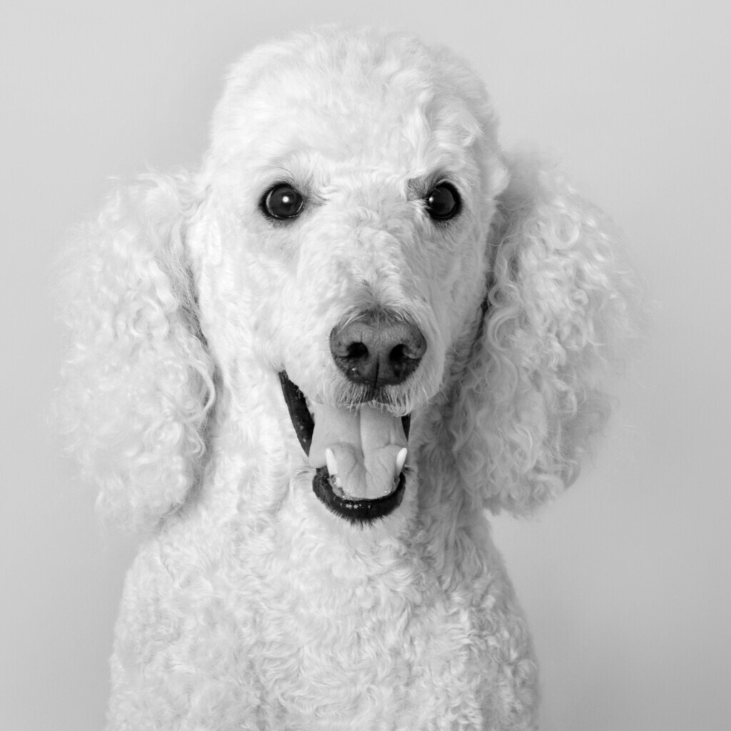 Bilder EntruempelungNRW - zuverlässig. schnell. diskret